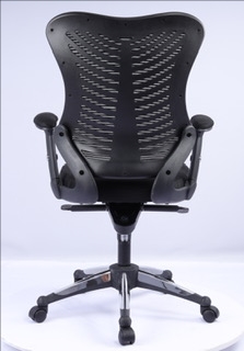 Augher Posture Chair