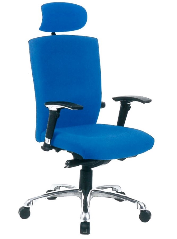 Coghlan Extra High Back Ergonomic Chair