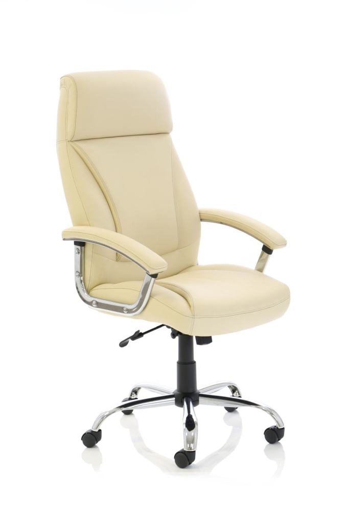 Penza Executive Leather Chair