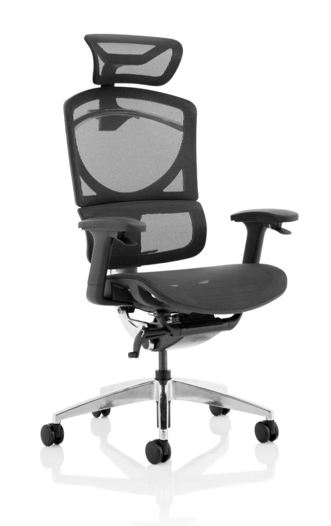 Ergo Click Plus Mesh Chair with Headrest